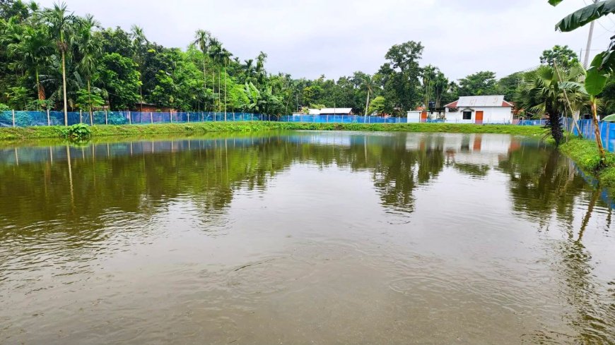 পলাতক চেয়ারম্যানের ভূতুড়ে ক্ষমতা! জাল স্বাক্ষরে ‘খাস পুকুর’ দখলের অভিযোগ