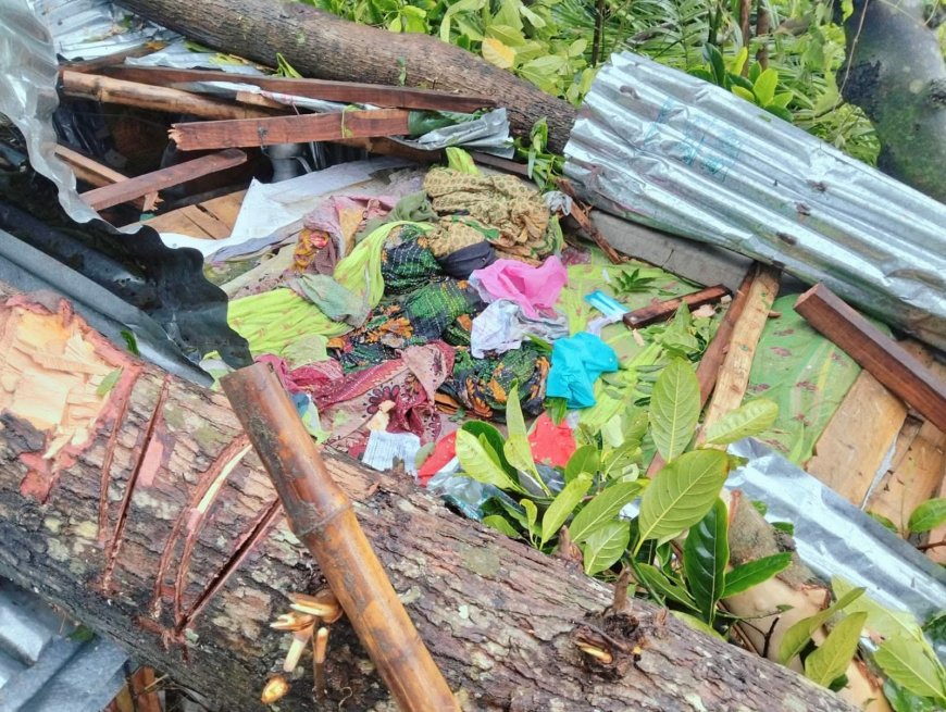মেলান্দহে কালবোশেখী ঝড়ে গাছের নিচে চাপা পড়ে মা ও দুই মেয়ে সহ ৩ জন নিহত 