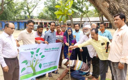 মেলান্দহে শিক্ষার্থীদের মাঝে দুই শতাধিক গাছের চারা বিতরণ
