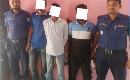 পীরগঞ্জে চোলাই মদ ও টাপেন্টা ট্যাবলেটসহ ৩ জন আটক