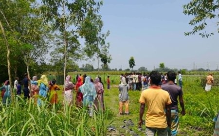 ঠাকুরগাঁওয়ে আবারও কবর খুঁড়ে কঙ্কাল চুরি: জনমনে চরম আতঙ্ক