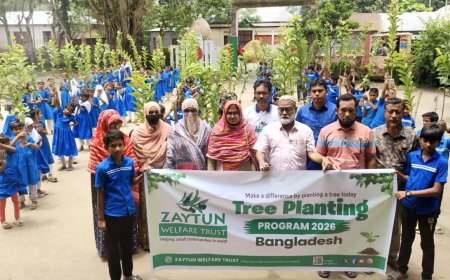 জয়তুন ওয়েল ফেয়ার ট্রাস্টের উদ্যোগে ৩ শতাধিক শিক্ষার্থীদের মাঝে গাছের চারা বিতরণ