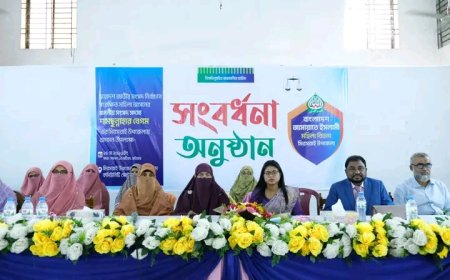 মিরসরাইয়ে সংরক্ষিত আসনের সংসদ সদস্য শামছুন্নাহার বেগমকে জমকালো সংবর্ধনা