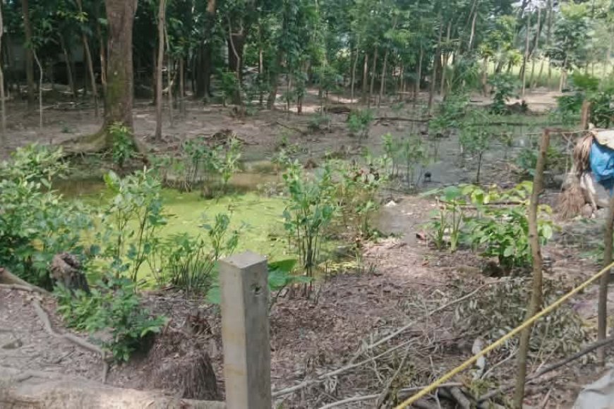 মীরসরাইয়ে মুরসি সম্পত্তি জোরপূর্বক দখলের অভিযোগ, আদালতে মামলা