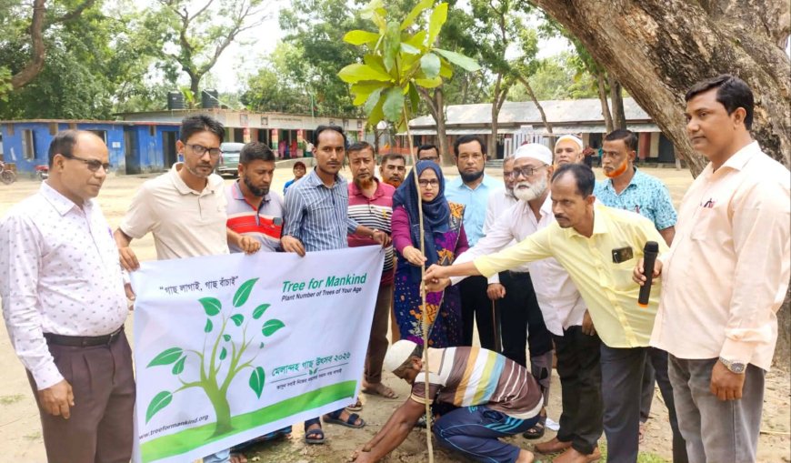 মেলান্দহে শিক্ষার্থীদের মাঝে দুই শতাধিক গাছের চারা বিতরণ