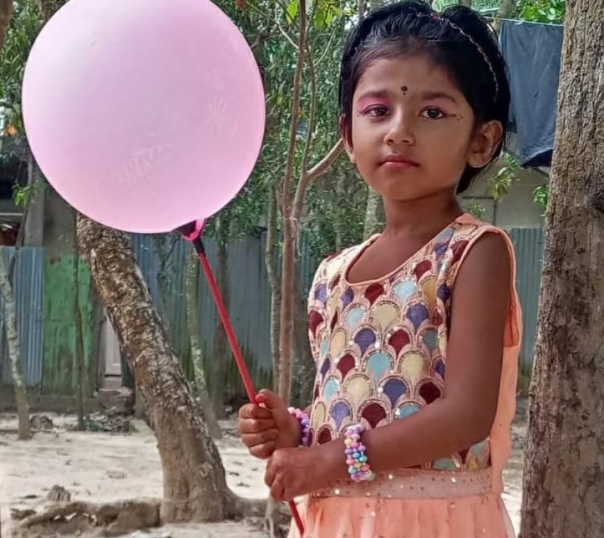 মীরসরাইয়ে সড়ক দুর্ঘটনায় স্কুলছাত্রীর মৃত্যু