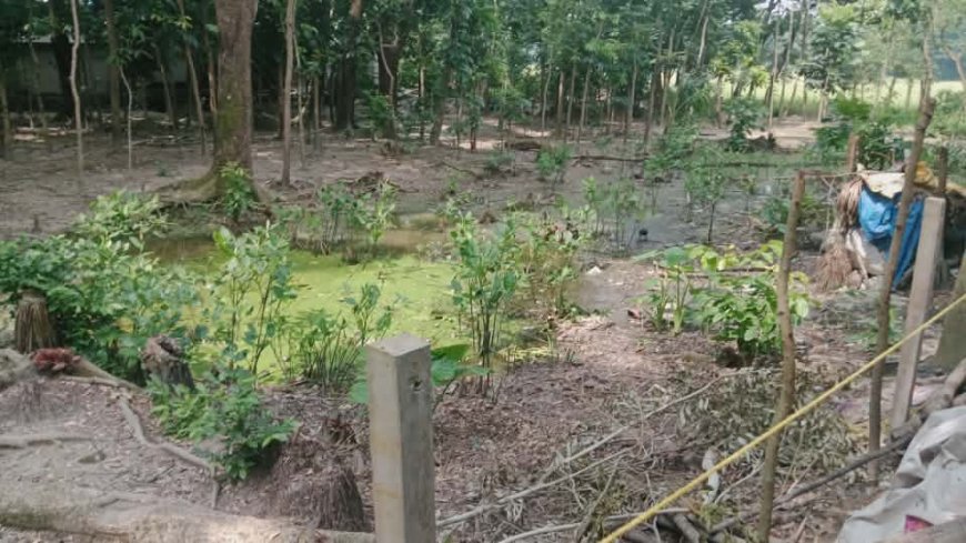 মীরসরাইয়ে মুরসি সম্পত্তি জোরপূর্বক দখলের অভিযোগ, আদালতে মামলা
