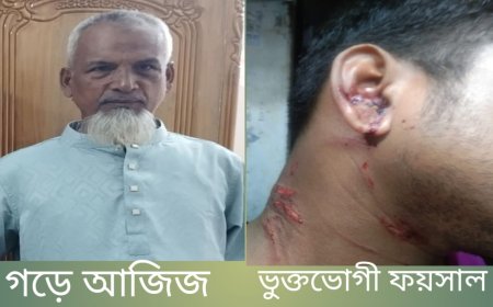 সাতক্ষীরায় পৈতৃক সম্পত্তি নিয়ে বিরোধের জেরে হামলার অভিযোগ, আহত ৩