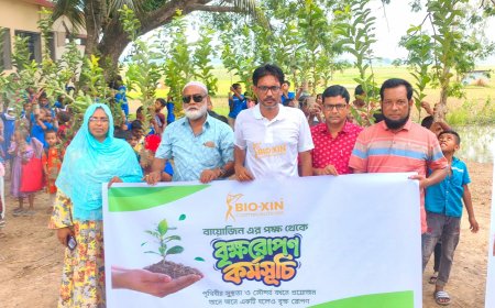 বায়োজিন এর উদ্যোগে মেলান্দহে ২ শতাধিক শিক্ষার্থীদের মাঝে গাছের চারা বিতরণ