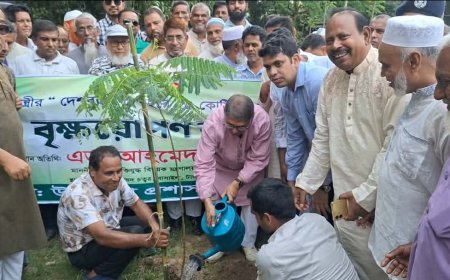বাসাইলে বৃক্ষরোপণ কর্মসূচির উদ্বোধন করলেন মুক্তিযুদ্ধ বিষয়ক মন্ত্রী আহমেদ আযম খান