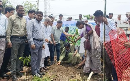 সাতক্ষীরায় বৃক্ষরোপণ কর্মসূচির উদ্বোধন