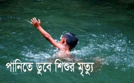 উলিপুরে পুকুরে ডুবে শিশুর মৃত্যু