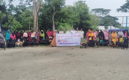 কলাপাড়ায় সিআরএসএস-এর ছাগল পেয়ে খুশি ৩০ দরিদ্র নারী
