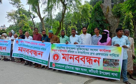 পাকুন্দিয়ায় মুক্তিযোদ্ধা অফিস ভাংচুরের প্রতিবাদে মানবন্ধন, দোষীদের শাস্তি দাবি