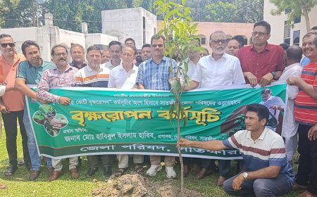 সাতক্ষীরায় বৃক্ষরোপণ কর্মসূচির উদ্বোধন করলেন জেলা পরিষদ প্রশাসক ও বিএনপির কেন্দ্রীয় নেতা সাবেক এমপি হাবিব