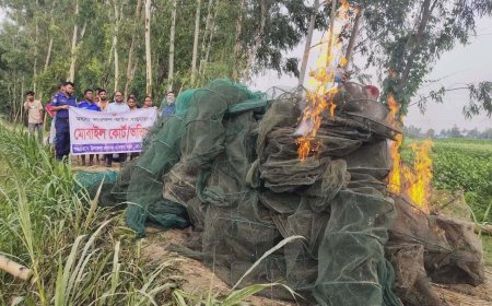 বাসাইলে আড়াই লাখ টাকার অবৈধ চায়না দুয়ারী জাল ধ্বংস