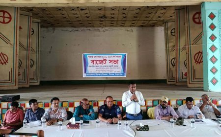 পীরগঞ্জ পৌরসভার ৫২ কোটি টাকার বাজেট ঘোষণা