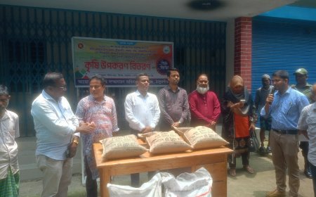 পীরগঞ্জ ৪ হাজার  ৭০০  ক্ষুদ্র ও প্রান্তিক কৃষকদের মাঝে উচ্চফলনশীল মরিচ, পেঁয়াজ ধান বীজ রাসায়নিক সার  বিতরণ