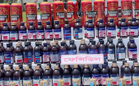 সাতক্ষীরায় বিভিন্ন সীমান্ত থেকে জব্দ হওয়া বিপুল পরিমাণ মাদকদ্রব্য ধ্বংস, যার মুল্য প্রায় ৭৩ কোটি ৭৫ লাখ টাকা