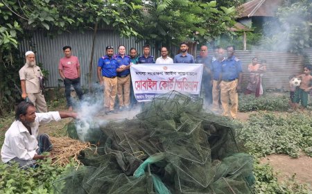বাসাইলে অবৈধ চায়না দুয়ারী জাল বিরোধী অভিযান, লক্ষাধিক টাকার জাল ধ্বংস