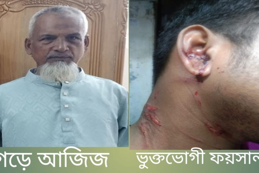 সাতক্ষীরায় পৈতৃক সম্পত্তি নিয়ে বিরোধের জেরে হামলার অভিযোগ, আহত ৩