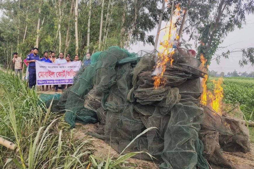 বাসাইলে আড়াই লাখ টাকার অবৈধ চায়না দুয়ারী জাল ধ্বংস