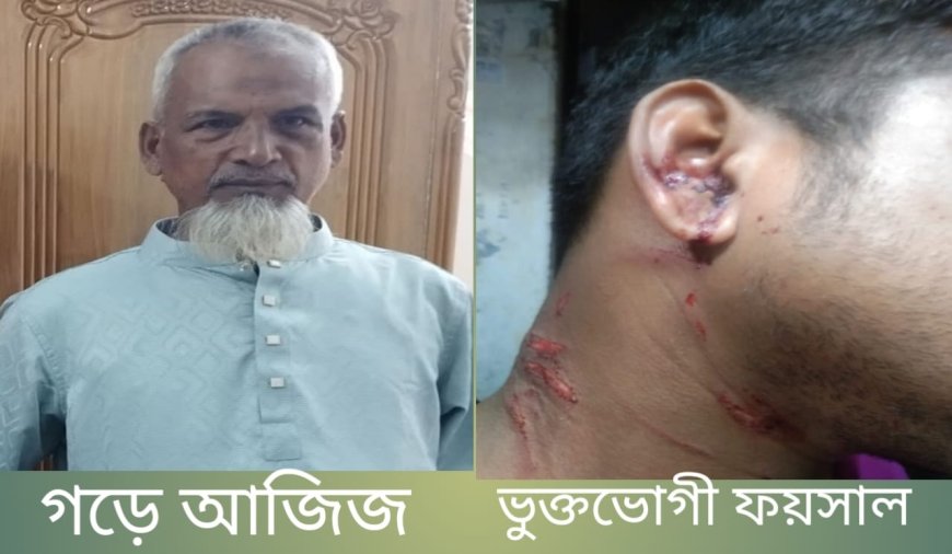 সাতক্ষীরায় পৈতৃক সম্পত্তি নিয়ে বিরোধের জেরে হামলার অভিযোগ, আহত ৩