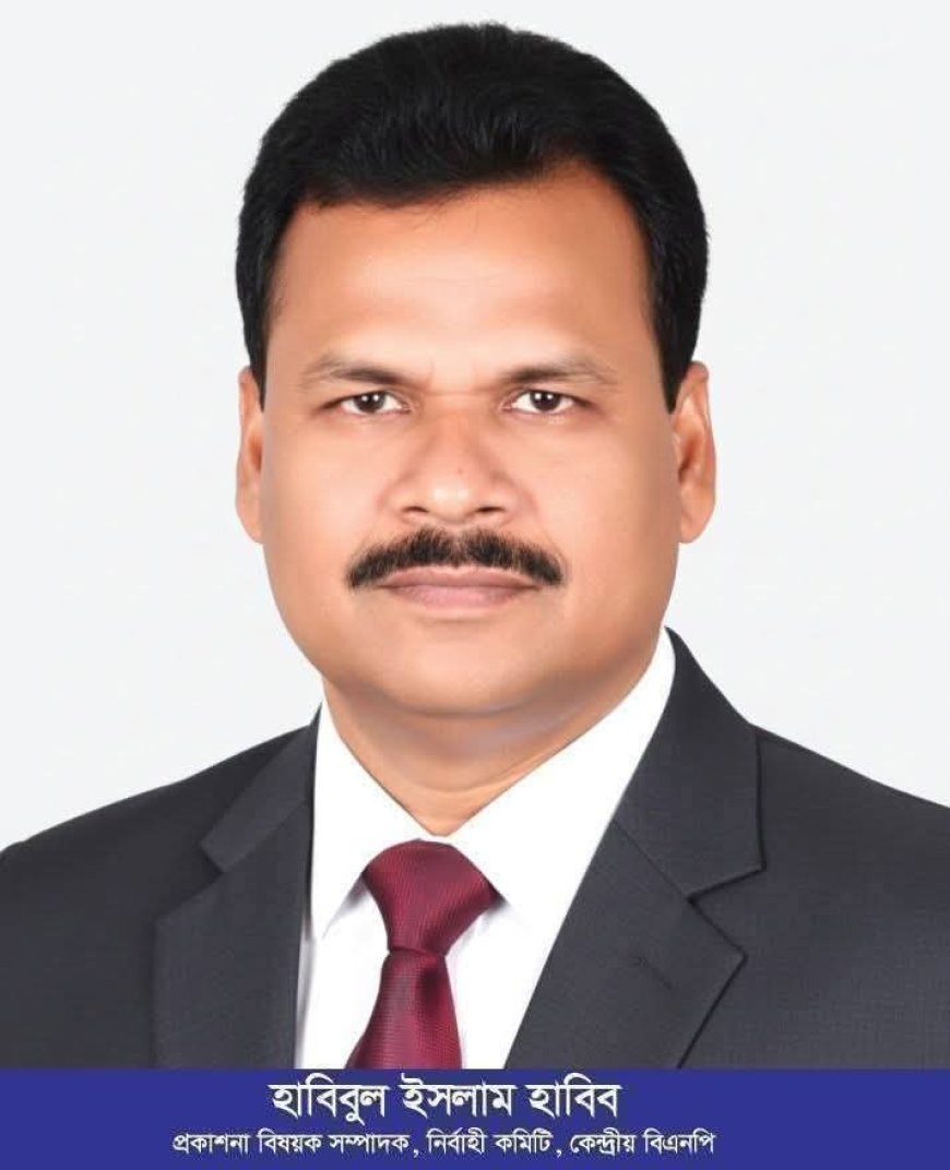 সাতক্ষীরা জেলা পরিষদের প্রশাসক নিযুক্ত হলেন সাবেক এমপি হাবিবুল ইসলাম হাবিব