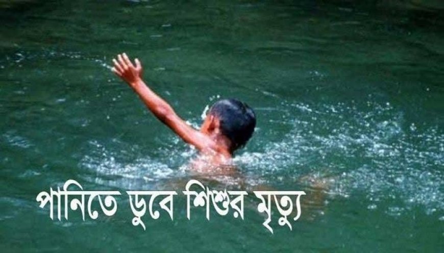 উলিপুরে পুকুরে ডুবে শিশুর মৃত্যু