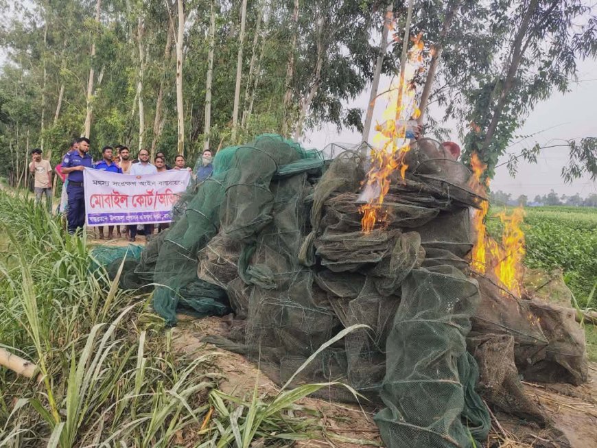 বাসাইলে আড়াই লাখ টাকার অবৈধ চায়না দুয়ারী জাল ধ্বংস