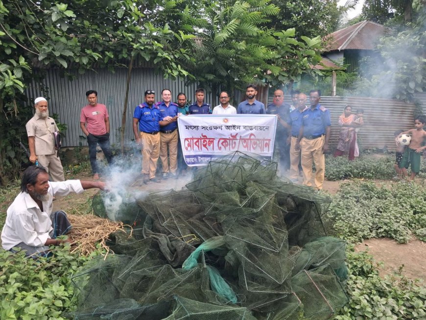 বাসাইলে অবৈধ চায়না দুয়ারী জাল বিরোধী অভিযান, লক্ষাধিক টাকার জাল ধ্বংস