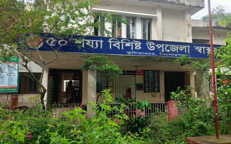 কুলিয়ারচর উপজেলা স্বাস্থ্য কমপ্লেক্সে তীব্র জনবল সংকট, ব্যাহত চিকিৎসাসেবা,  নেকনজর চান সেবাগ্রহীতারা