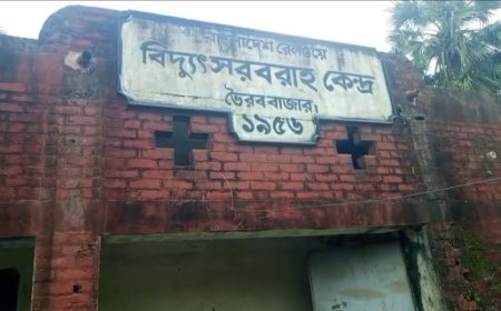বিদ্যুৎ লাইনের তদারকির নামে লুটপাট ৭৫ কিমি সেকশনে অবৈধ সংযোগ, মাসোহারা আদায়ের অভিযোগ