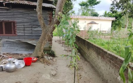 মাদারগঞ্জে জমি দখল ও চলাচলের রাস্তা বন্ধের অভিযোগ