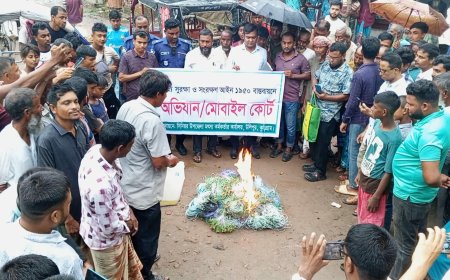 উলিপুরে কারেন্ট জালসহ ব্যবসায়ী আটক, ভ্রাম্যমাণ আদালতে জরিমানা