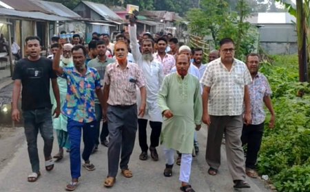 ইউপি চেয়ারম্যান জুবেরী গ্রেপ্তারে দুরমুট বিএনপি নেতাকর্মীদের মিষ্টি বিতরণ ও আনন্দ মিছিল