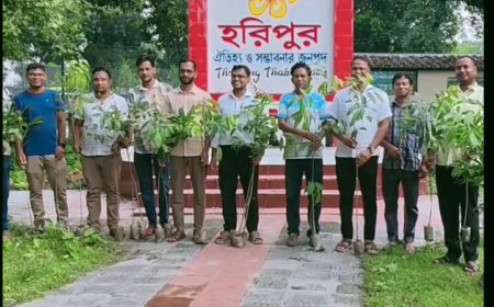 ঠাকুরগাঁওয়ে ১৫ থেকে ২০তম গ্রেডের কর্মচারীরা নিজেদের একদিনের বেতন বাঁচিয়ে ব্যতিক্রমী বৃক্ষরোপণ কর্মসূচি