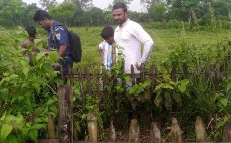 পীরগঞ্জে তিনটি কবরের কঙ্কাল চুরি