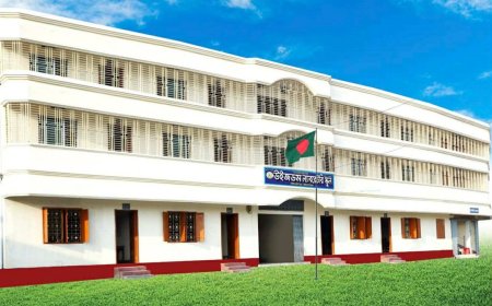 প্রাথমিক বৃত্তিতে উজ্জ্বল সাফল্য, উইজডম ল্যাব. স্কুল এন্ড কলেজের ৭ শিক্ষার্থী বৃত্তিপ্রাপ্ত