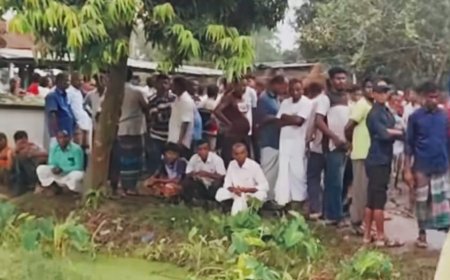 ঠাকুরগাঁও সদর উপজেলার ১০ নং জামালপুর ইউনিয়নের মহব্বতপুর গ্রামে, বজ্রপাতে  বাবা ছেলের মৃত্যু