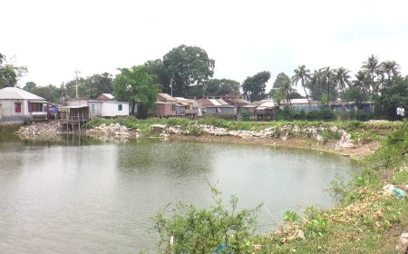 উল্লাপাড়ায় জলাশয় লিজ কাণ্ড, তদন্ত ঝুলিয়ে কার স্বার্থ রক্ষা