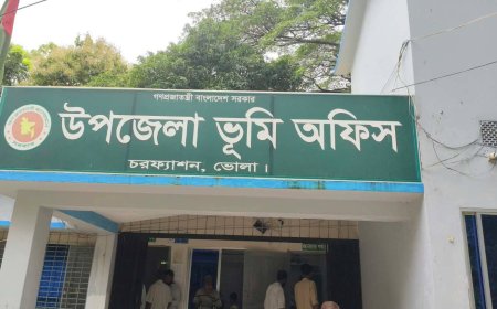 নিয়োগ ছাড়াই ‘ছায়া সার্ভেয়ার’! চরফ্যাশন ভূমি অফিসে বহিরাগতের হাতে জিম্মি সেবাপ্রার্থীরা