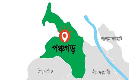 পঞ্চগড়ে বাবাকে করাত দিয়ে হত্যাচেষ্টার অভিযোগে যুবকের এক বছরের কারাদণ্ড
