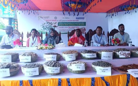 সাতক্ষীরার উপকূলের পরিবেশ পুনরুদ্ধারে ১০ লক্ষ বীজ রোপণ কার্যক্রমের উদ্বোধন