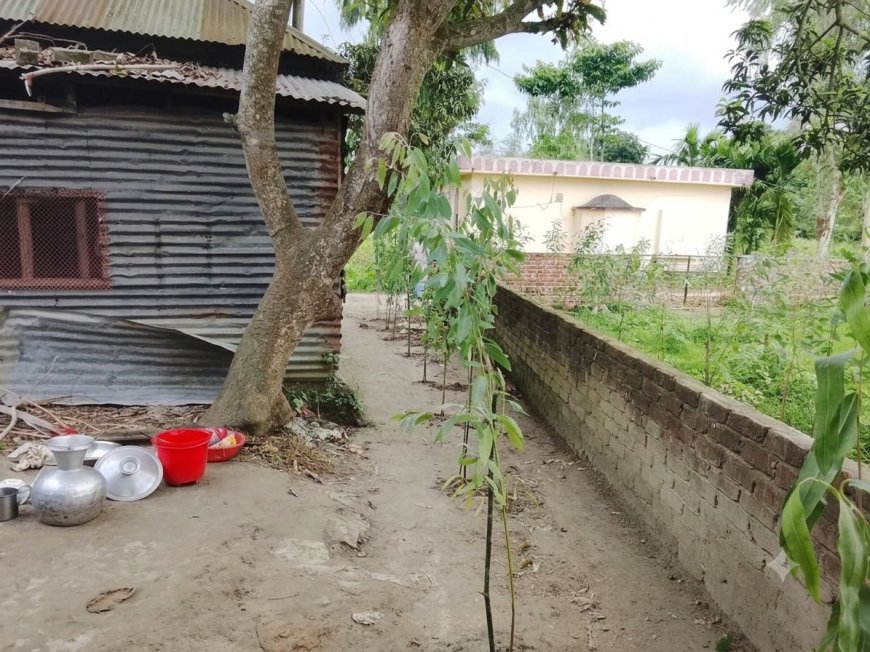 মাদারগঞ্জে জমি দখল ও চলাচলের রাস্তা বন্ধের অভিযোগ