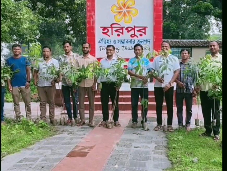 ঠাকুরগাঁওয়ে ১৫ থেকে ২০তম গ্রেডের কর্মচারীরা নিজেদের একদিনের বেতন বাঁচিয়ে ব্যতিক্রমী বৃক্ষরোপণ কর্মসূচি