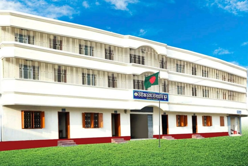 প্রাথমিক বৃত্তিতে উজ্জ্বল সাফল্য, উইজডম ল্যাব. স্কুল এন্ড কলেজের ৭ শিক্ষার্থী বৃত্তিপ্রাপ্ত