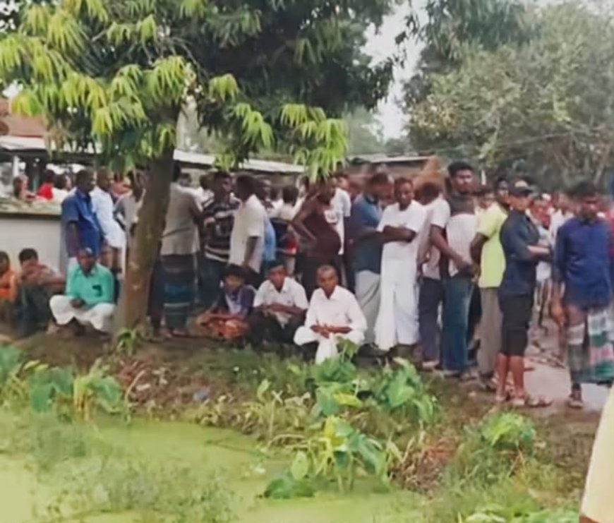 ঠাকুরগাঁও সদর উপজেলার ১০ নং জামালপুর ইউনিয়নের মহব্বতপুর গ্রামে, বজ্রপাতে  বাবা ছেলের মৃত্যু