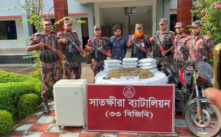 ভারতে পাচারের সময় সাতক্ষীরা সীমান্ত থেকে ৬ কোটি টাকা মূল্যের নতুন মাদক 'কুশ'সহ এক পাচারকারী আটক