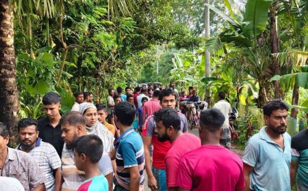 সাতক্ষীরার কালিগঞ্জে ট্রাকচাপায় শিশুর মর্মান্তিক মৃত্যু,  ট্রাক জব্দ, চালক আটক